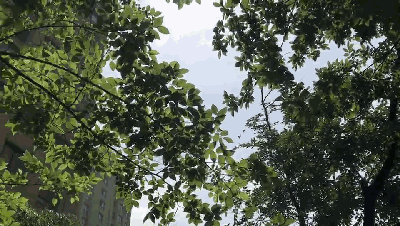 91免费版视频陶瓷