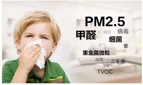 91免费版视频健康净界瓷砖成人91免费APP 91免费版视频健康净界瓷砖成人91免费APP