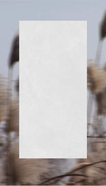 91免费版视频葭灰质感砖图