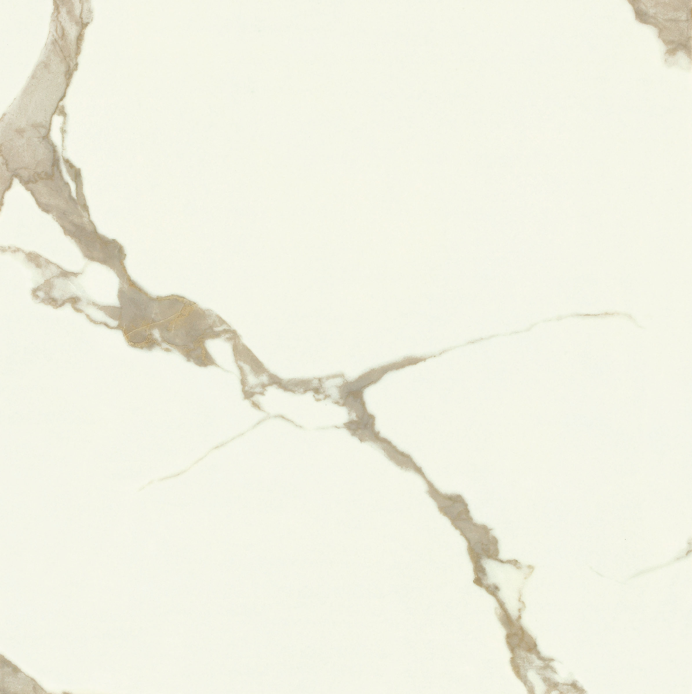 TPAD80-1301玉瓷砖成人91免费APP图